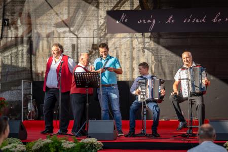 Veselo razpoloženje tudi na drugi festivalski dan Dnevov narodnih noš in oblačilne dediščine v Kamniku (26)